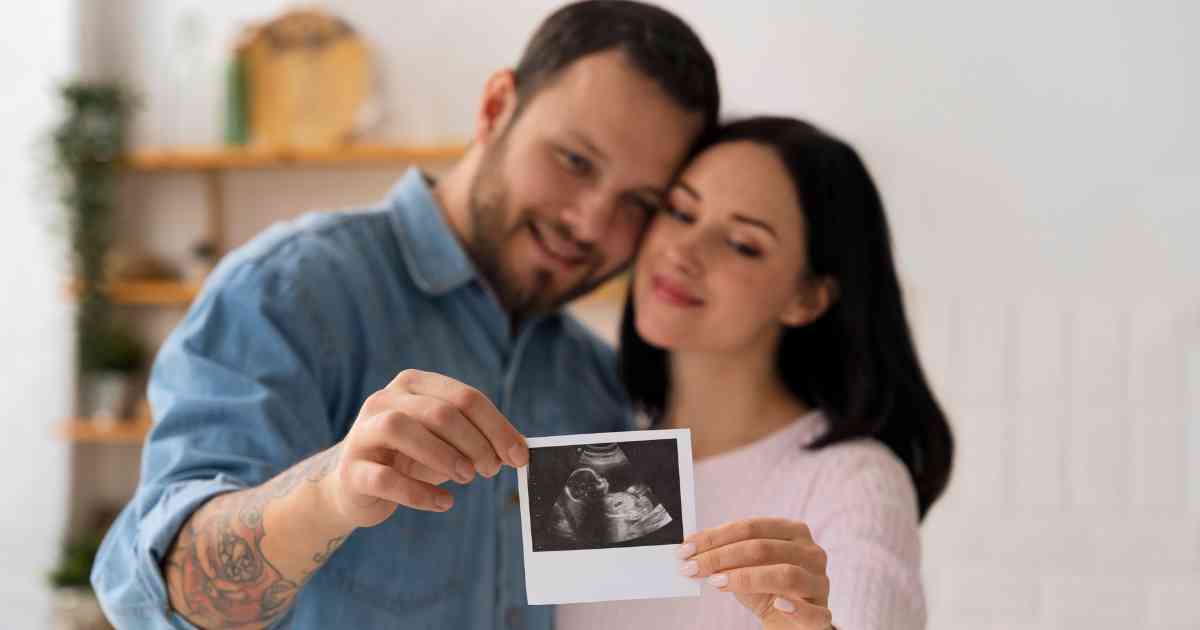 embryo transfer timing